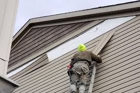 Best Siding Painting and Refinishing  in Quakertown, PA